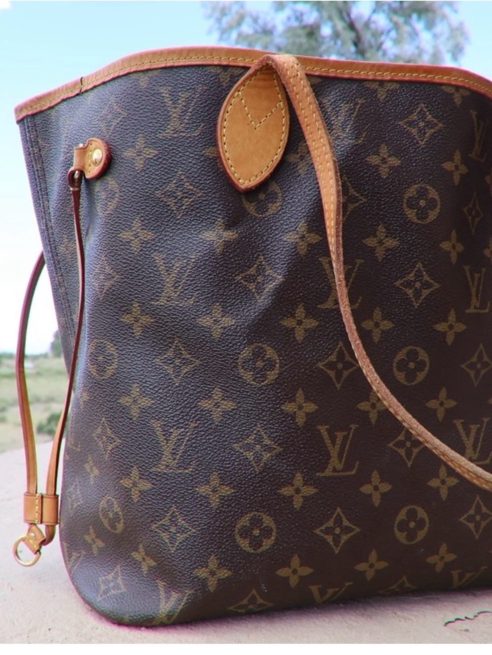 Louis Vuitton Monogram Neverfull Tote in Brown with Rose Interior - Picture 8 of 16